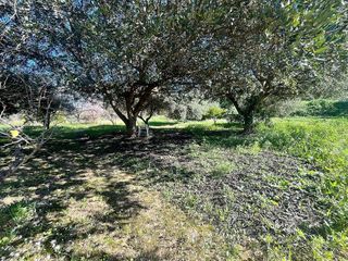 Chalet en venta en Alcalde Felipe Mallol en San Vicente del Raspeig/Sant Vicent del Raspeig