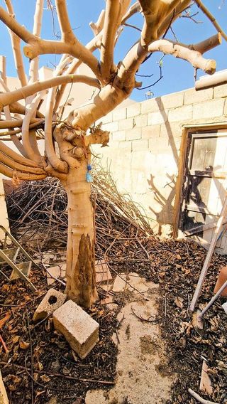 Casa adosada en venta en Playa de Garrucha en Garrucha