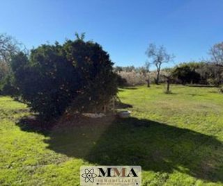 Casa rural en venta en Gibraleón