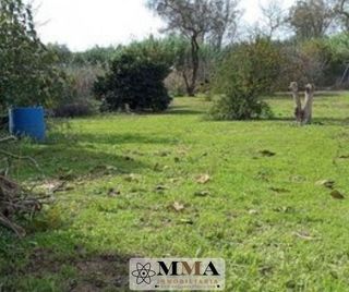 Casa rural en venta en Gibraleón