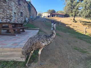 Casa rural en venta en Santa Eulàlia de Ronçana