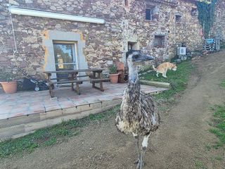 Casa rural en venta en Santa Eulàlia de Ronçana