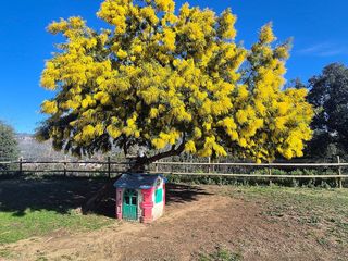 Casa rural en venta en Santa Eulàlia de Ronçana