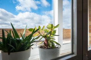 Piso en venta en Polígono - Carrefour en Ávila