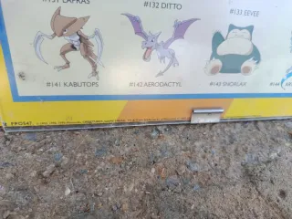 Póster Pokémon Gotta Catch 'Em All!