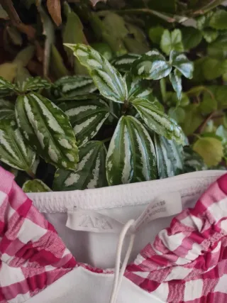 Top Corset Cuadros vichy Rojo y Blanco