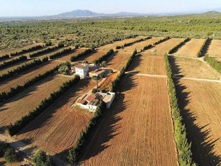Casa rural en venta en Deltebre