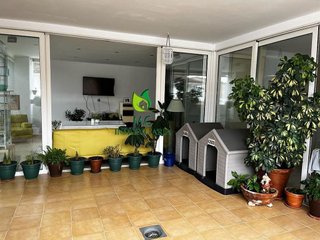 Casa adosada en venta en Miajadas