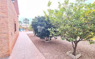 Chalet en venta en Catral