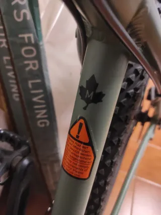 Bicicleta MTB Focus Whistler 29