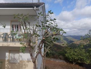 Casa adosada en venta en Ibias