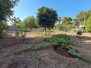 Casa rural en venta en Totana