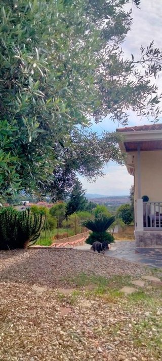 Chalet en venta en Castellbisbal