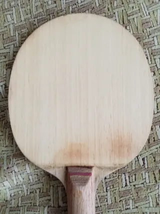 AVALOX P500 MADERA TENIS DE MESA