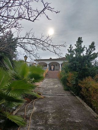 Chalet en venta en Rute