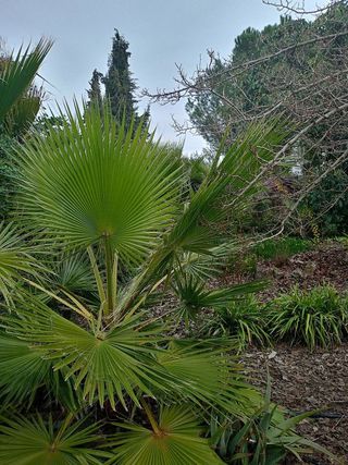 Chalet en venta en Rute