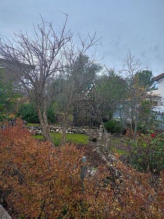 Chalet en venta en Rute