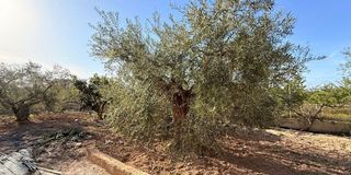 Chalet en venta en Las Bayas en Elche