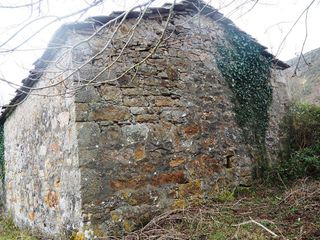 Chalet en venta en Espinosa de los Monteros