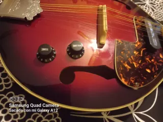 Mandolina Eléctrica Samick Artist Series