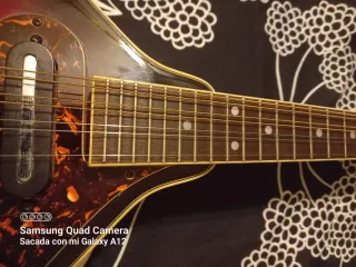 Mandolina Eléctrica Samick Artist Series