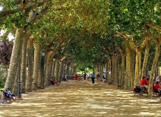 Piso en venta en Calella