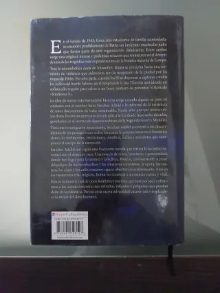 Una luz en la noche de Roma