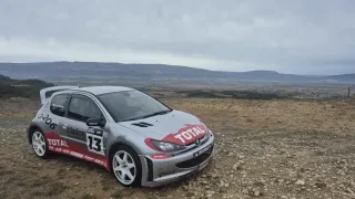 Peugeot 206 2004
