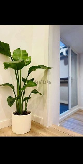 Piso en venta en Sant Pere, Santa Caterina i la Ribera en Barcelona