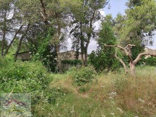 Masía en venta en Ulldecona