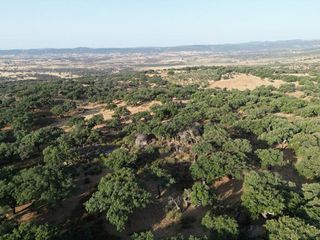 Casa rural en venta en San Vicente de Alcántara