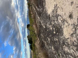 Chalet en venta en Bullas