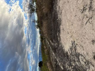 Chalet en venta en Bullas