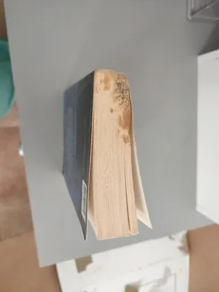 Un amante de ensueño (Cazadores Oscuros 1)