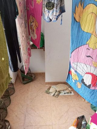 Chalet en venta en Ctra. Circunvalación - La Magdalena en Jaén