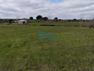 Casa rural en venta en Bollullos Par del Condado