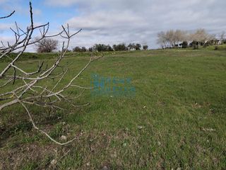 Casa rural en venta en Bollullos Par del Condado