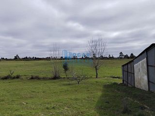 Casa rural en venta en Bollullos Par del Condado