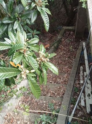 Chalet en venta en Torrelles de Llobregat