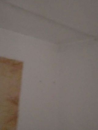 Dúplex en venta en Tàrrega