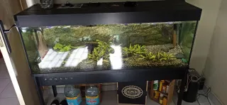 Pecera 30L Funciona Perfectamente