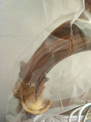 2 Sedie Antiche + Tavolo Sala Cristallo