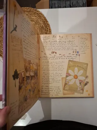 La magia de las hadas flores