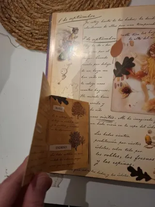 La magia de las hadas flores