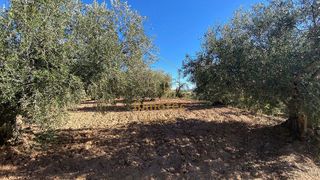 Cortijo en venta en Vélez-Rubio