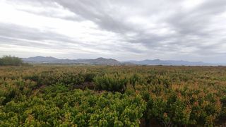 Casa rural en venta en Aspe