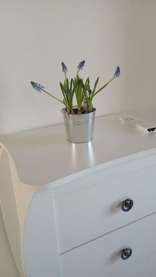 Piso en venta en Alcoy/Alcoi