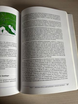 Historia del Arte de la Alta y la plena Edad Media