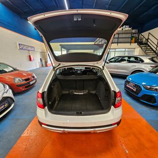 Skoda Scout 2.0 TDI CR 135KW (184cv) DSG 4x4