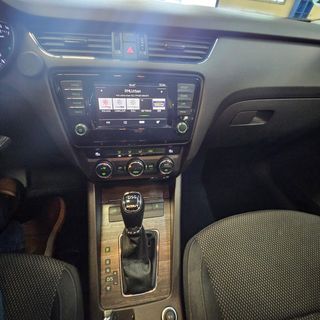 Skoda Scout 2.0 TDI CR 135KW (184cv) DSG 4x4